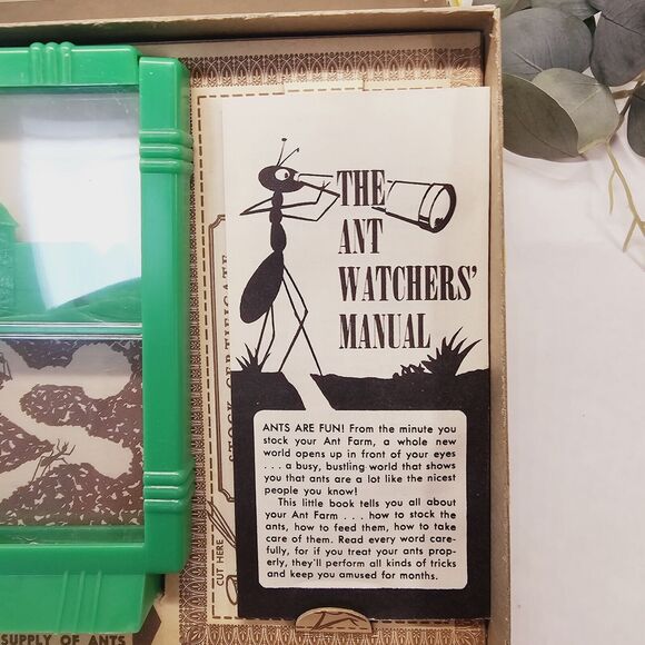 Vintage Ant Farm 1959 Fascinating Never Used EIC Grossman (no) Live Ants! Older - Picture 14 of 15